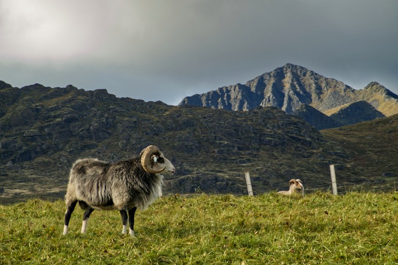 Reine And Moskenes At Lofoten - RX109183.editted