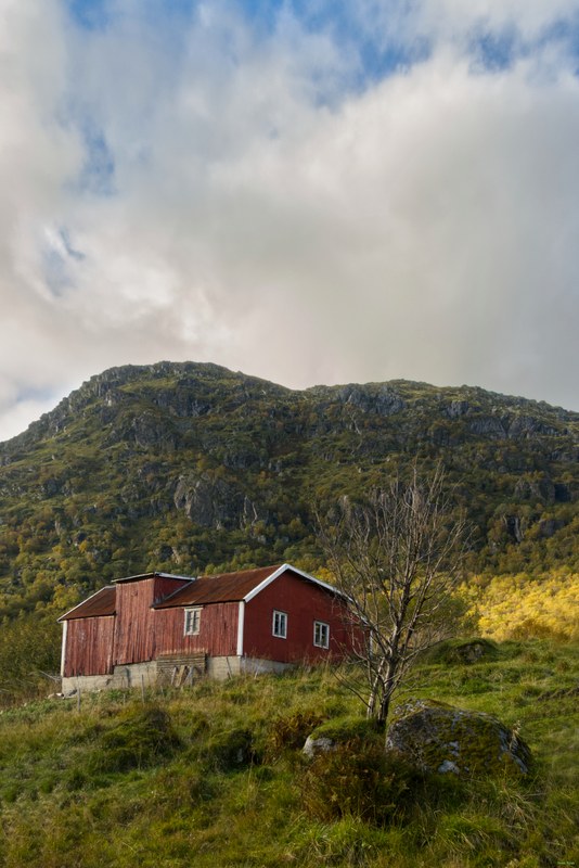 Reine And Moskenes At Lofoten - RX109196.editted