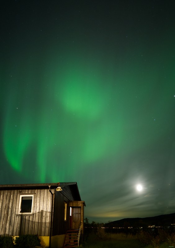 Skoghus Leirsted - Senja - SA706275.editted