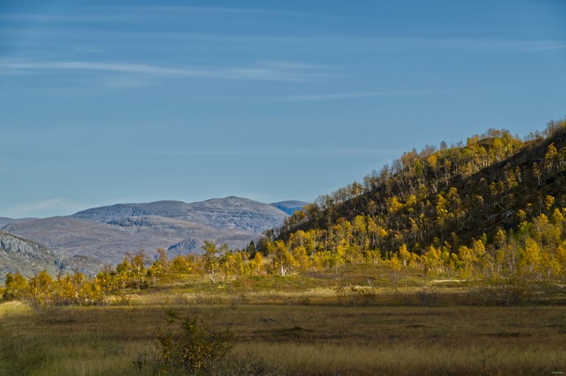 Ulsvag To Abisko Via Polar Park - RX108356.editted