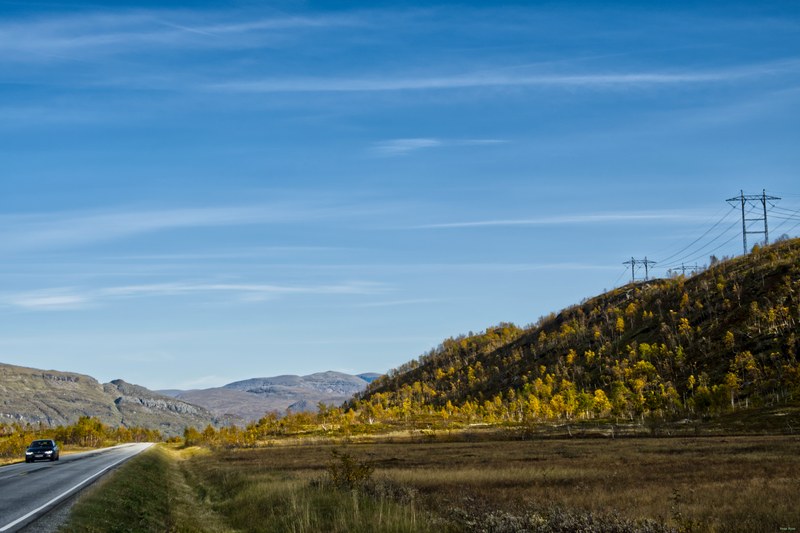 Ulsvag To Abisko Via Polar Park - RX108358.editted