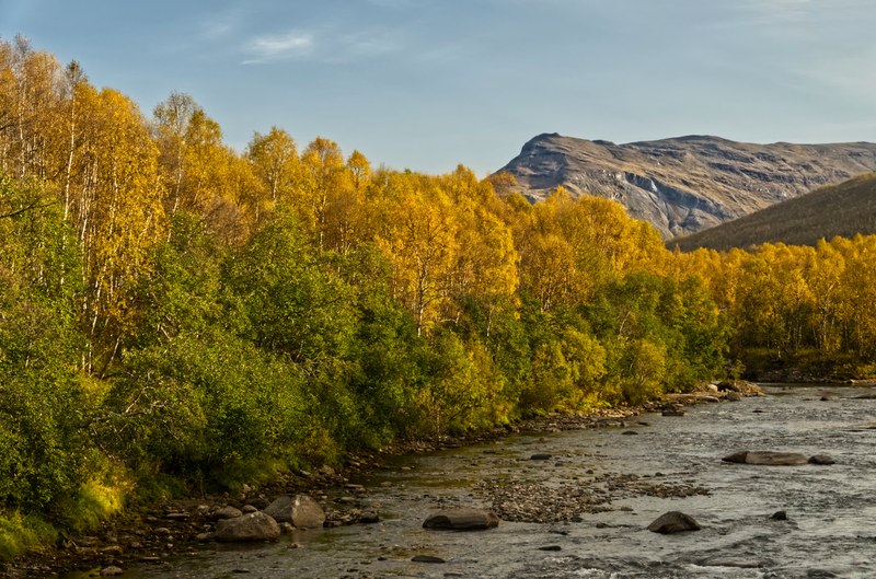 Ulsvag To Abisko Via Polar Park - RX108479.editted