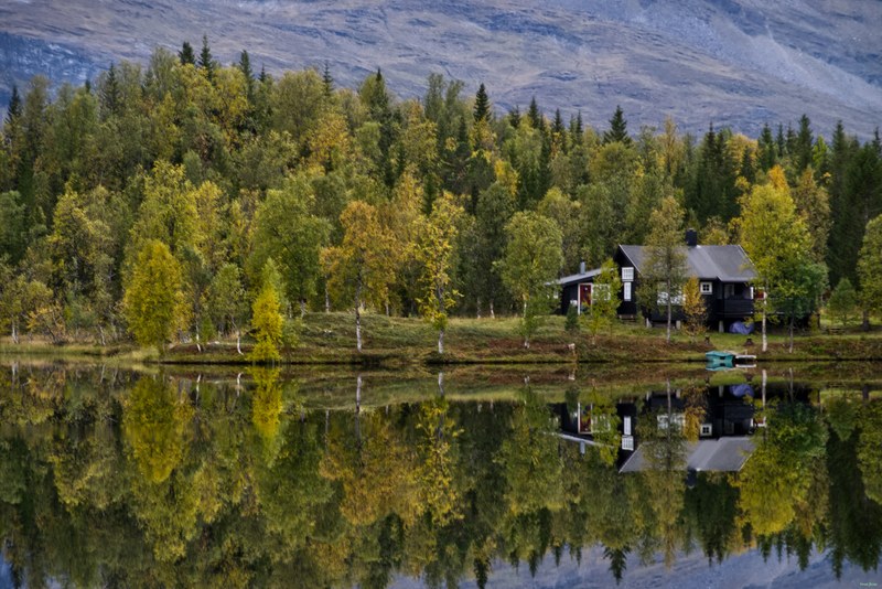 Ulsvag To Abisko Via Polar Park - RX108484.editted