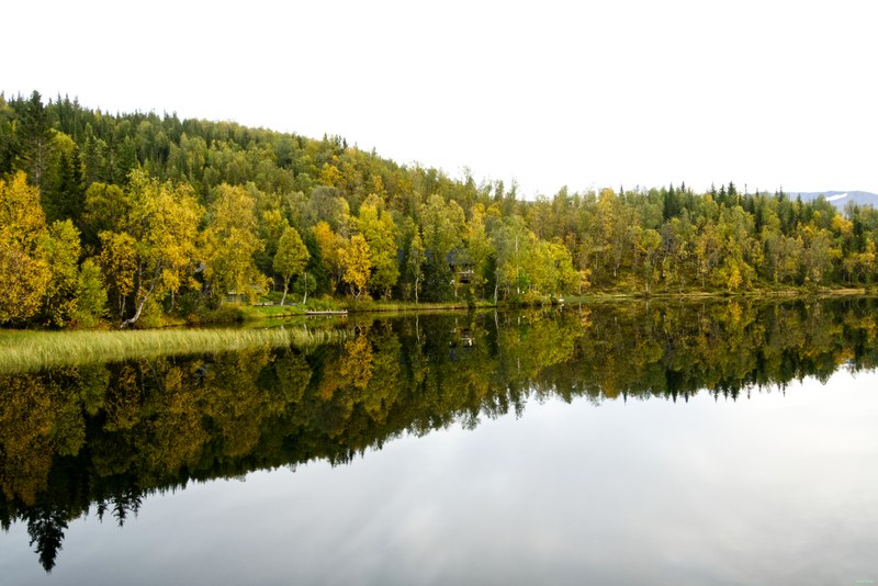 Ulsvag To Abisko Via Polar Park - RX108488.editted