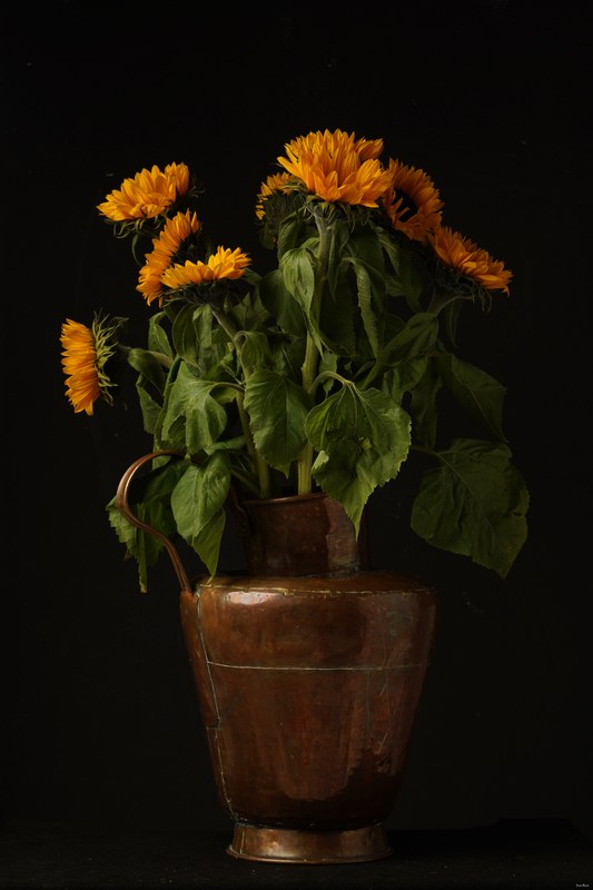 2024-10 - Still Life In A Studio - Den Haag - SA707010.good