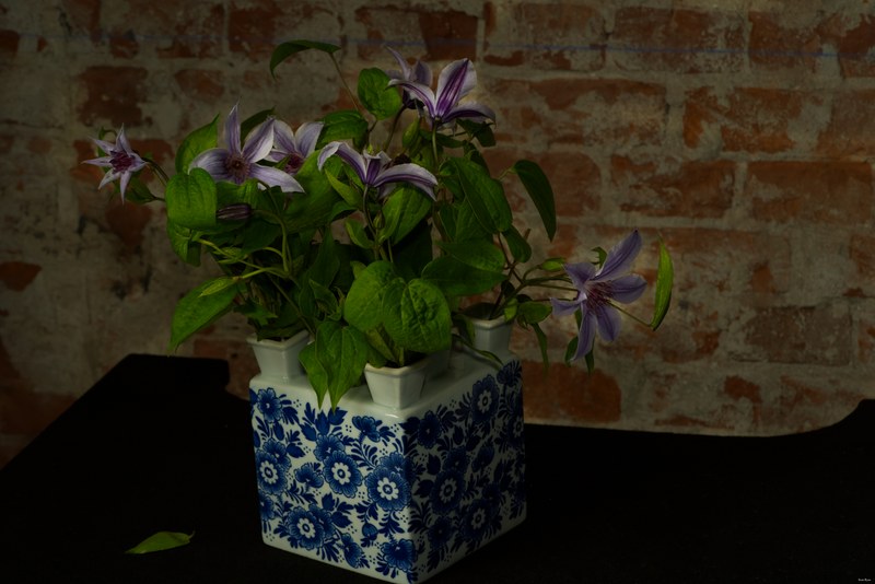 2024-10 - Still Life In A Studio - Den Haag - SA707080.editted