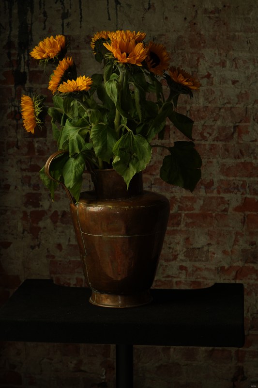 2024-10 - Still Life In A Studio - Den Haag - SA707085.ok