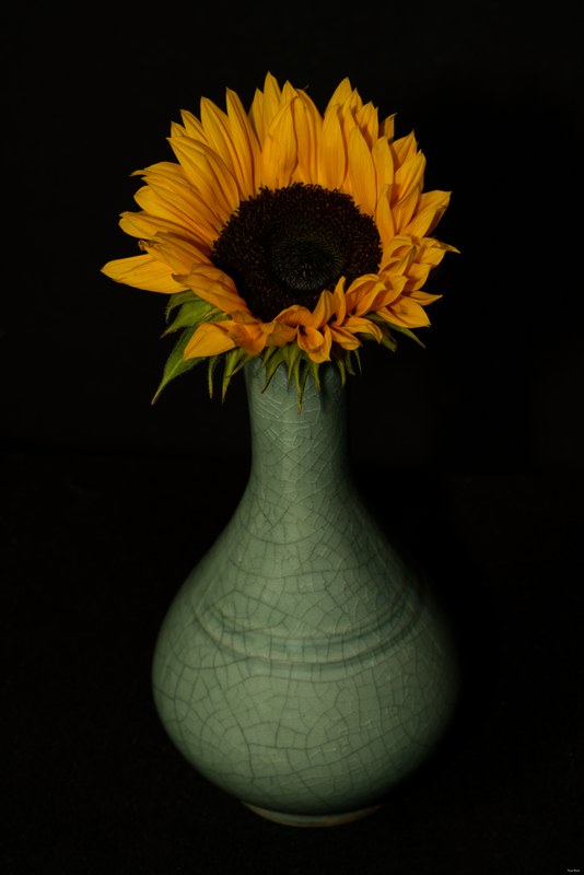 2024-10 - Still Life In A Studio - Den Haag - Every Day Photos