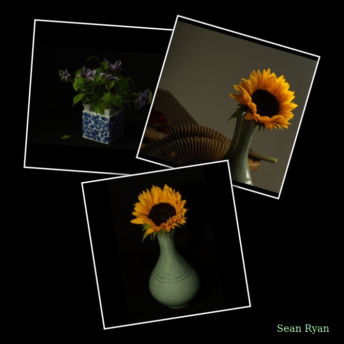 2024-10 - Still Life In A Studio - Den Haag