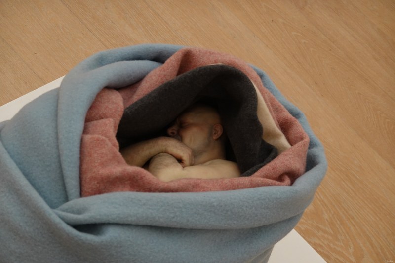 2024-11 - Ron Mueck At Voorlinden Museum - RX100368.ok