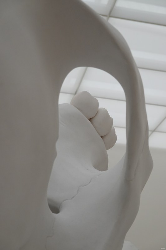 2024-11 - Ron Mueck At Voorlinden Museum - RX100384.ok