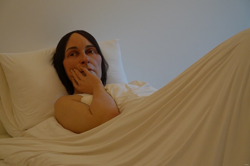 2024-11 - Ron Mueck At Voorlinden Museum - Every Day Photos