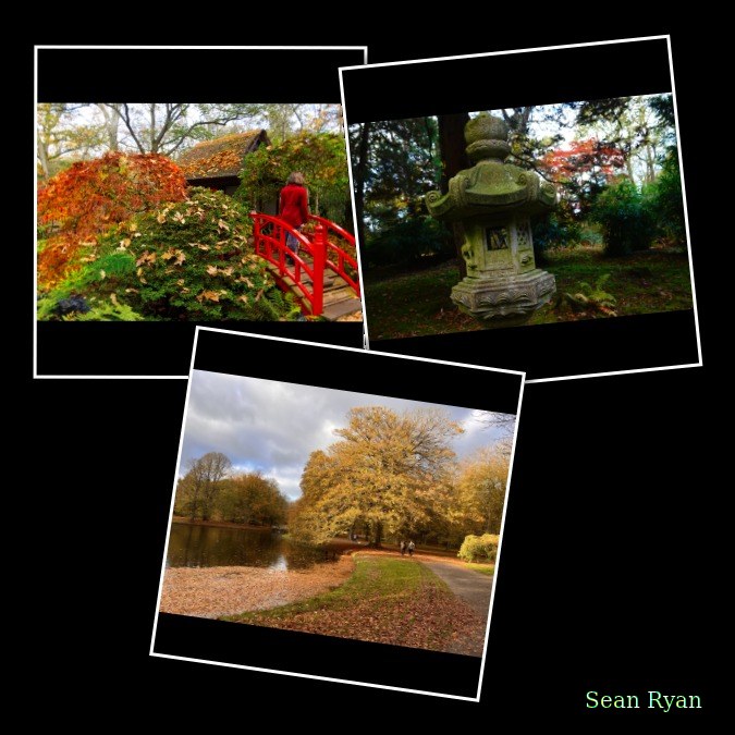 2024 - Japanese Garden Clingandael - The Hague