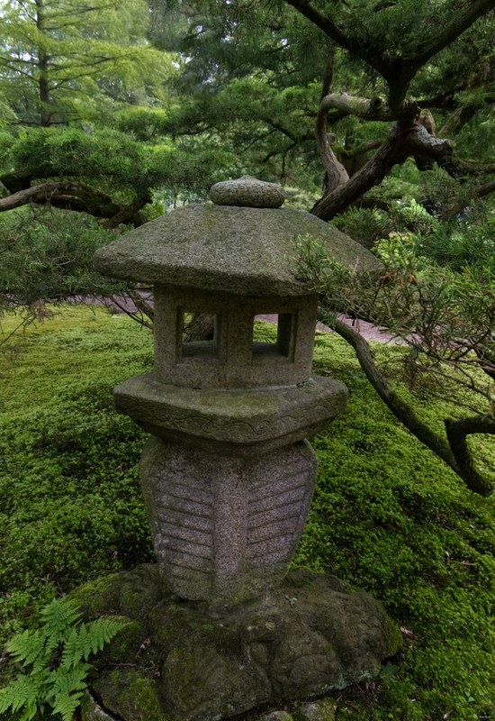 Japanese Garden - Spring - 2024 - Every Day Photos
