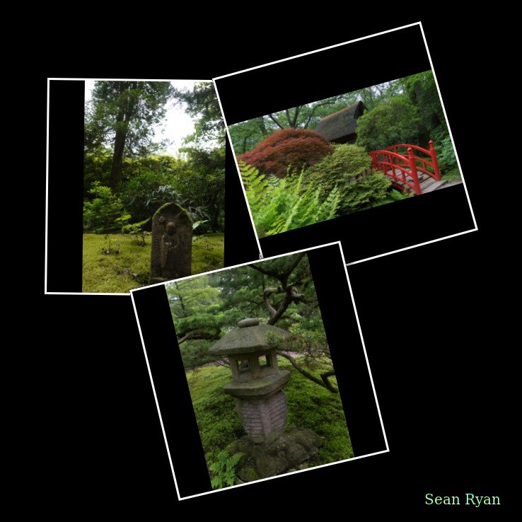 Japanese Garden - Spring - 2024 - Every Day Photos