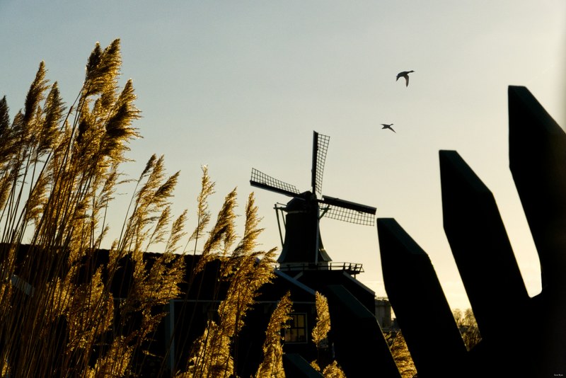 2025-02 - Zaanse Schans Windmills By Sundown - Every Day Photos