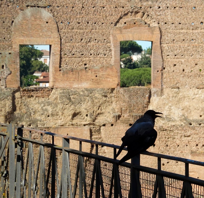 Views From Palatine Hill Including Colosseum - RX101470.editted