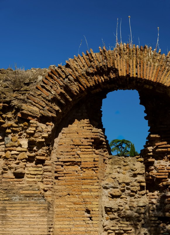 Views From Palatine Hill Including Colosseum - RX101486.editted