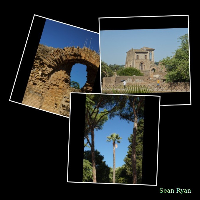 Views From Palatine Hill Including Colosseum - Every Day Photos