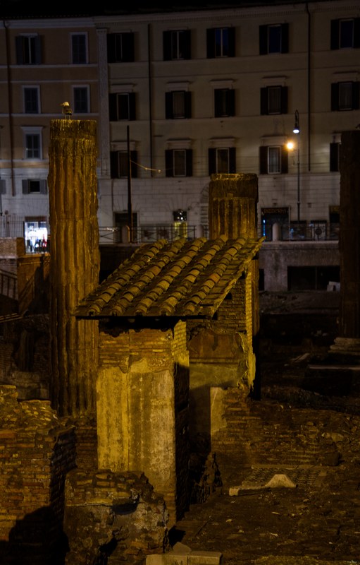 Theater Of Pompey - SA707780.editted