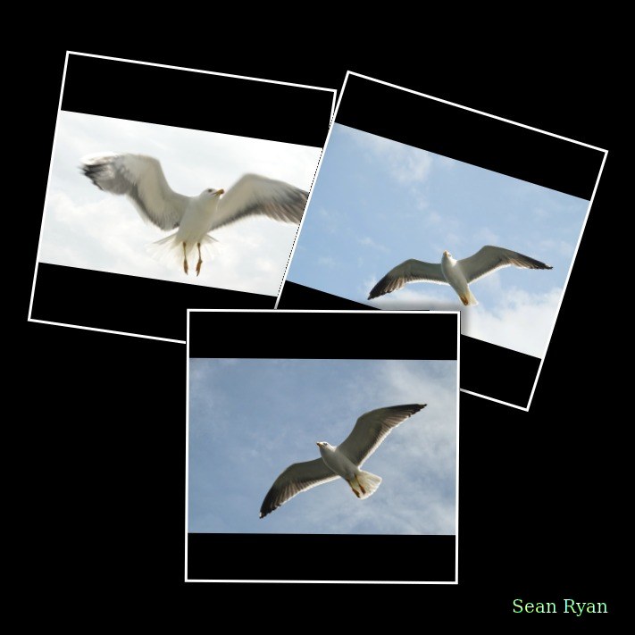 2025-06 - Texel