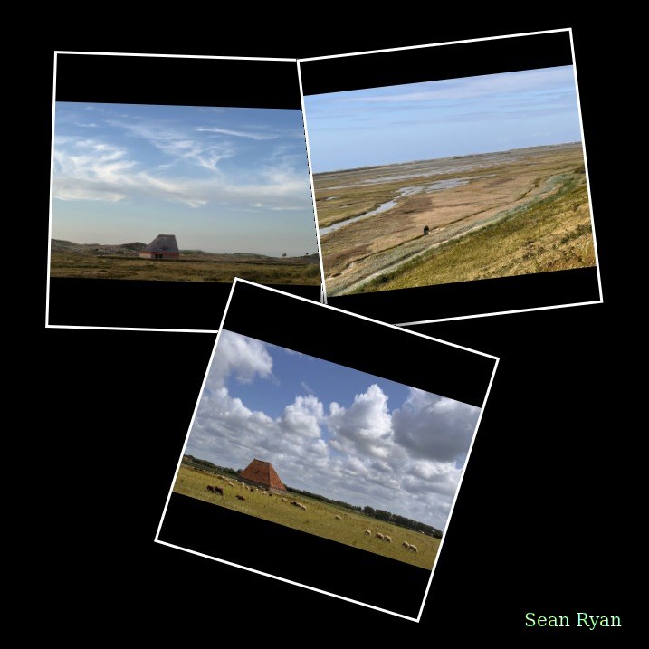 2025-06 - Texel Landscapes
