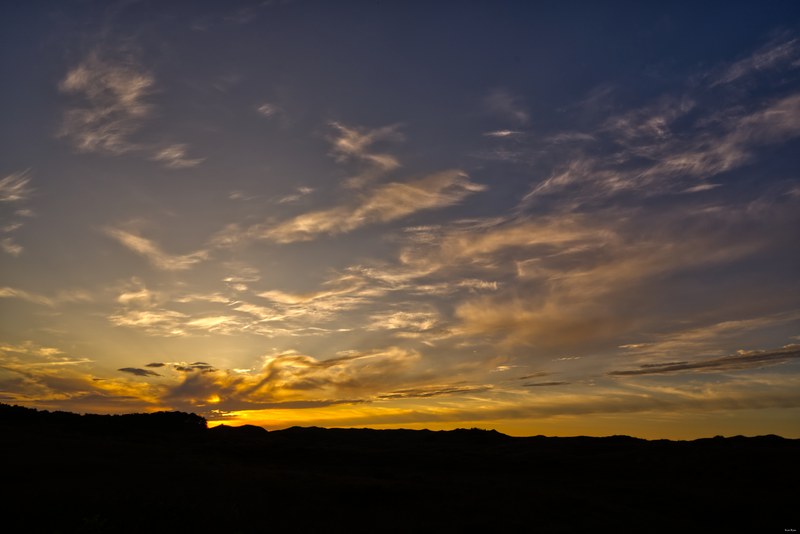 2025-06 - Texel Schaaphuis By Sky Fall - SA707621.editted.3
