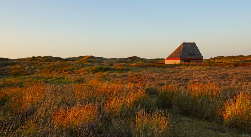 2025-08 - Texel Trouw Locatie In Evening Sun - SA709118.ok.editted