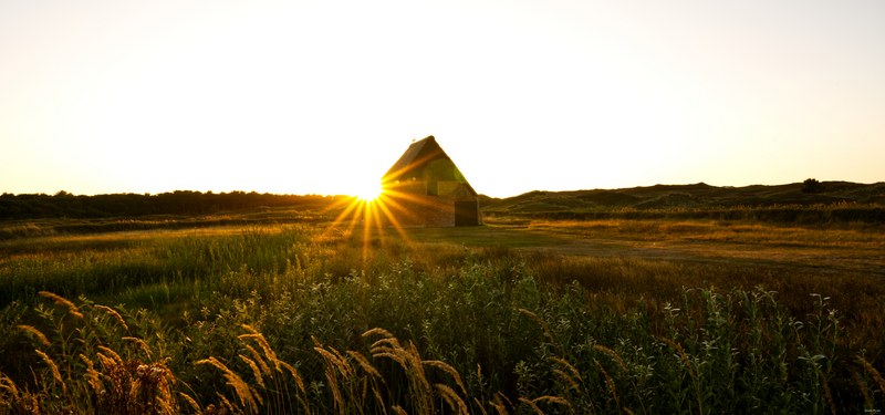2025-08 - Texel Trouw Locatie In Evening Sun - SA709130.editted