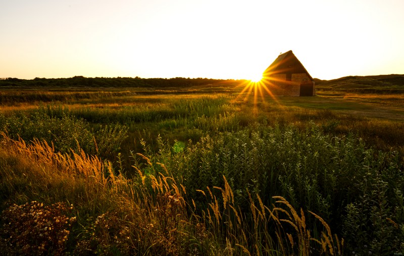 2025-08 - Texel Trouw Locatie In Evening Sun - cover.SA709132.editted
