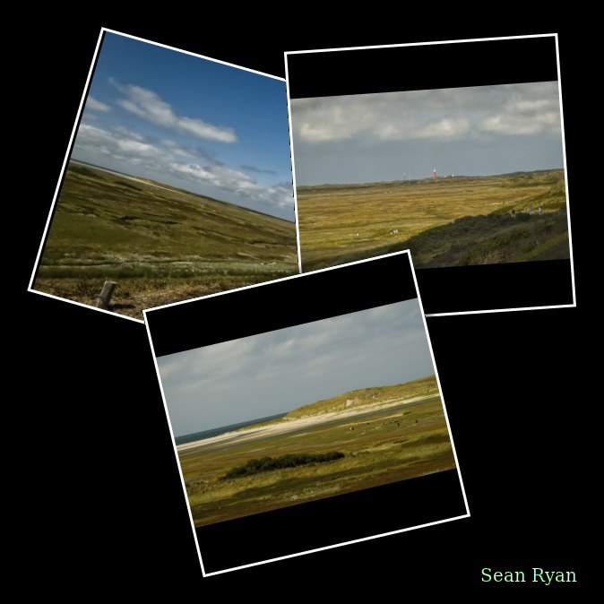 Texel Landscape De Slufter
