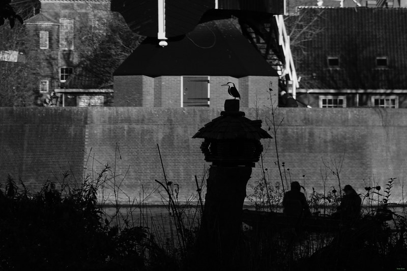 People-casting-shadows - RX100210