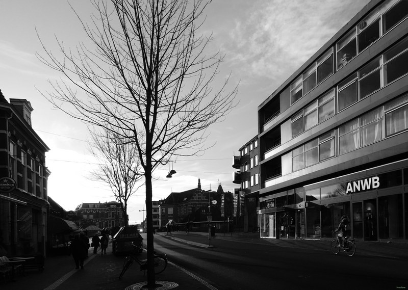 Trees - RX100109.editted