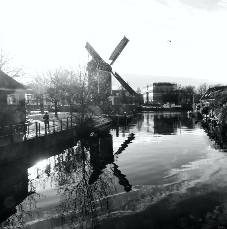 Windmills - RX100125.editted