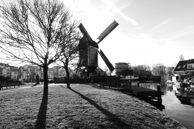 Windmills - RX100140