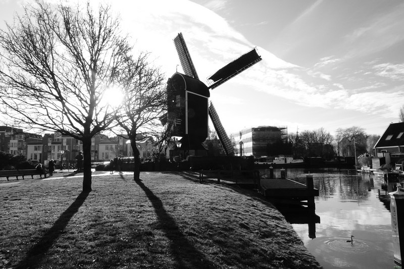 Windmills - RX100150
