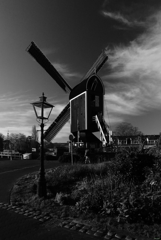 Windmills - RX100166.editted