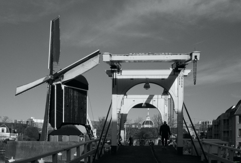 Windmills - RX100185.editted