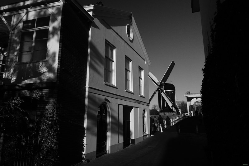 Windmills - RX100197