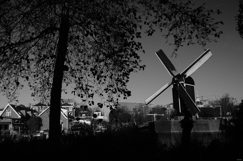 Windmills - RX100201
