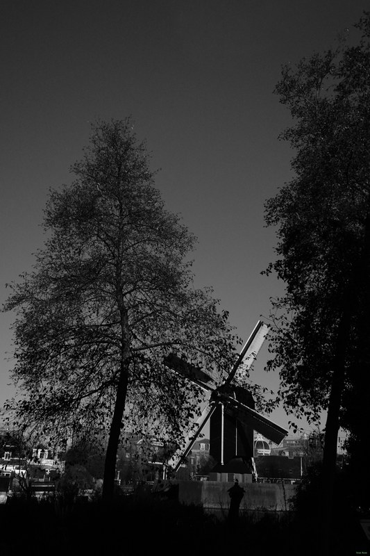 Windmills - RX100208