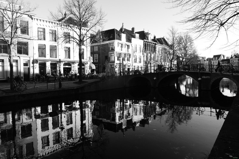 Windows-and-reflections - RX100290