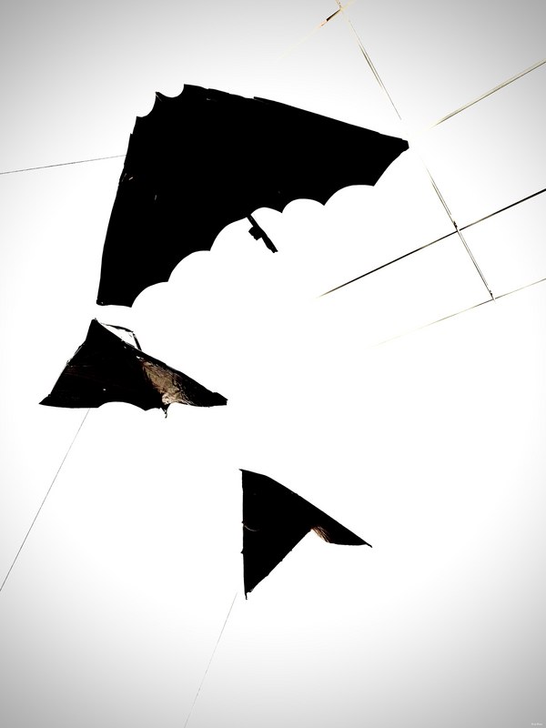 2025-12 - Voorlinden Mark Manders Sculptures - IMG_2984