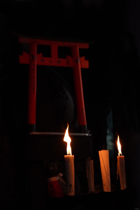 2026-01 - Japan - Every Day Photos