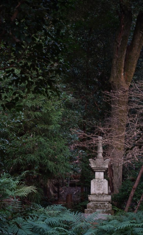 Kyoto - Hōnenin Temple And Sunset - SA701587.editted