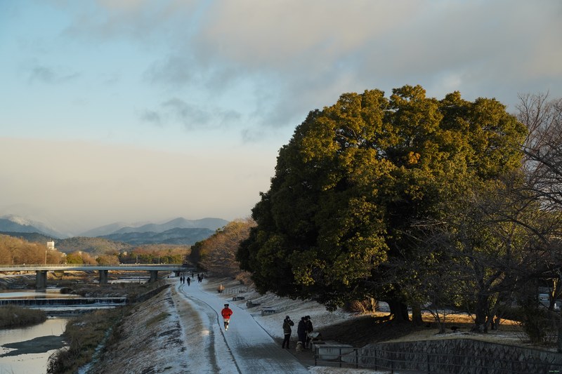 Kyoto - Kamo River By Morning Golden Hour - SA701725.nice