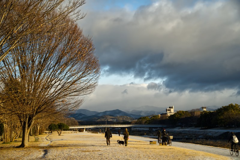 Kyoto - Kamo River By Morning Golden Hour - SA701730.editted
