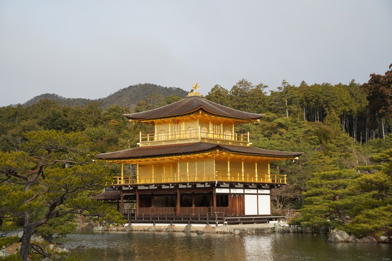 Kyoto - Kinkaku-ji - Golden Pavilion By Morning - SA701373.ok