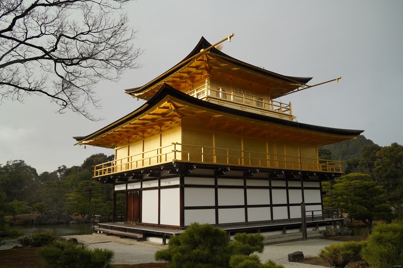Kyoto - Kinkaku-ji - Golden Pavilion By Morning - SA701392.nice