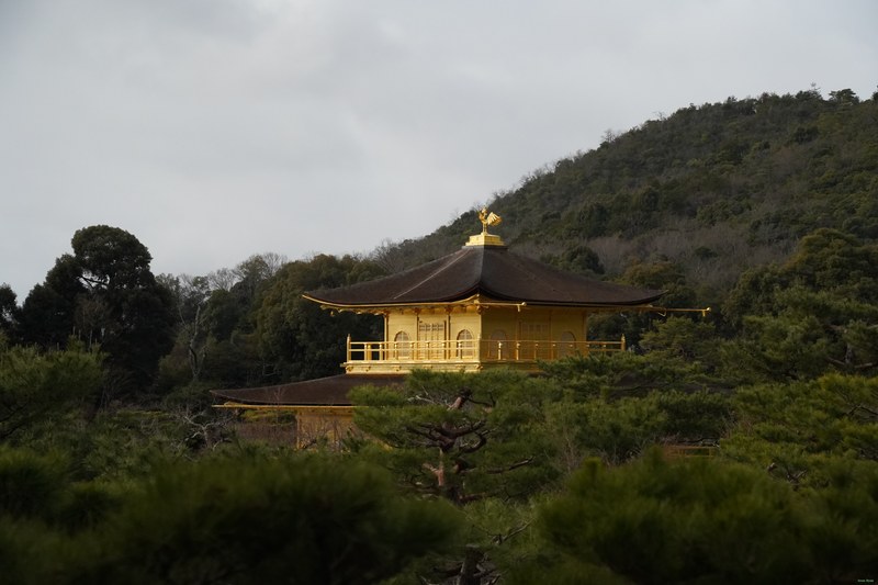 Kyoto - Kinkaku-ji - Golden Pavilion By Morning - SA701407.ok